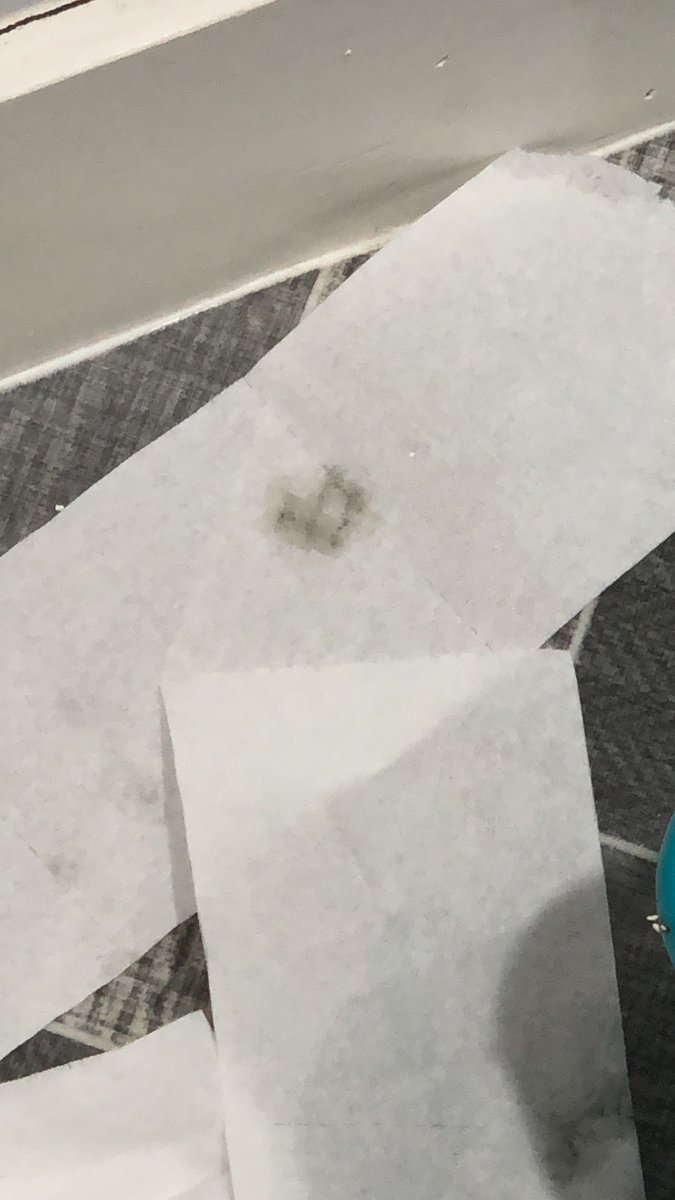 APIS_isnt's tweet image. Cat piss puddle made heart on toilet paper I put on it to soak it. Thanks that makes me feel better