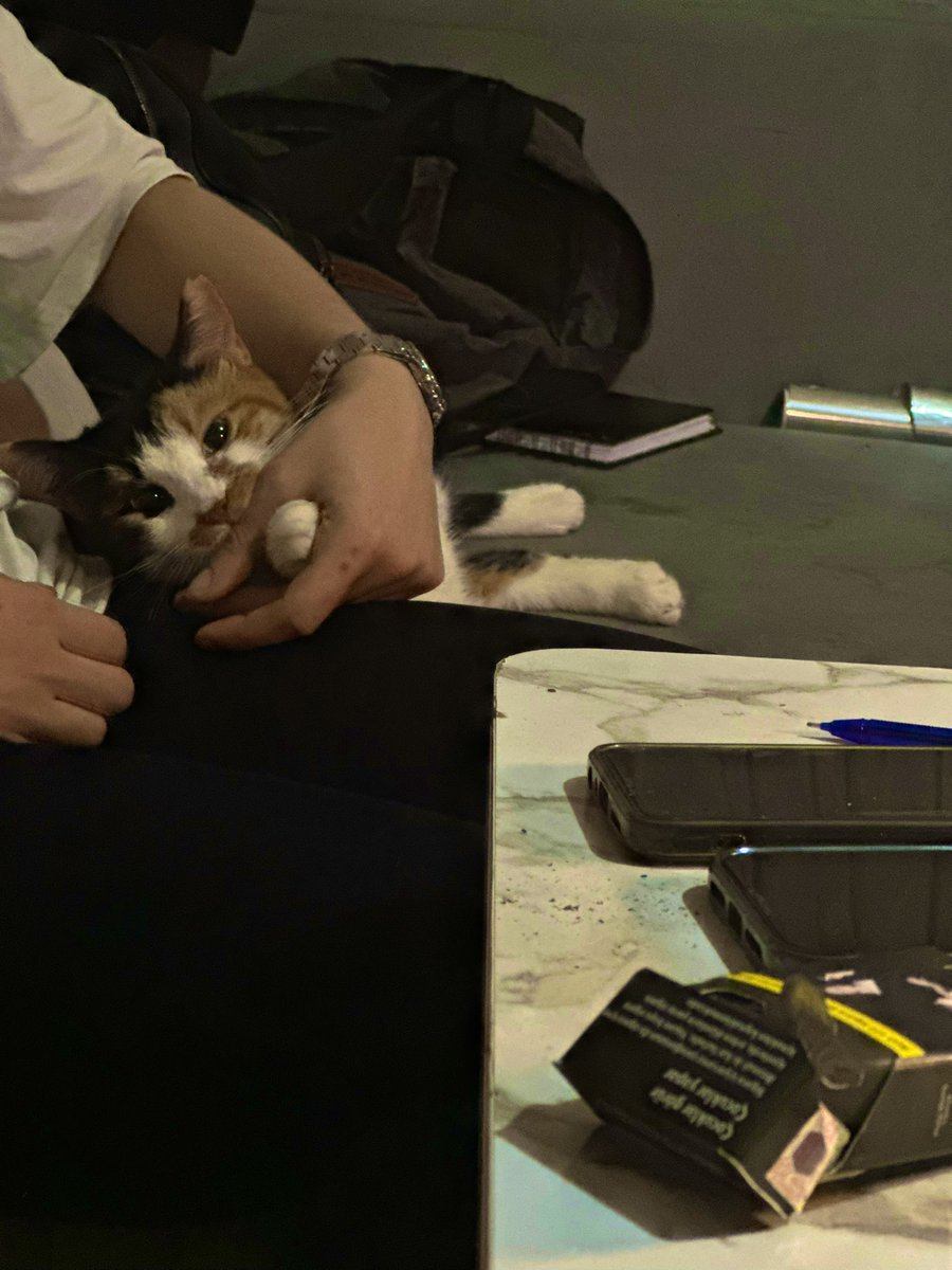 Bakışları nimet nimet 😻