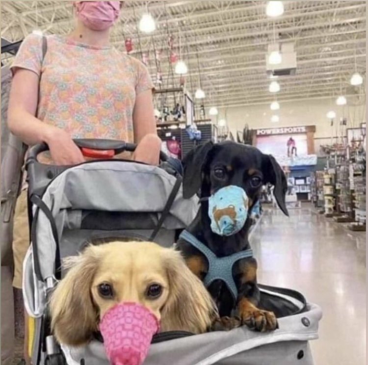 Monique Lessard tweet media