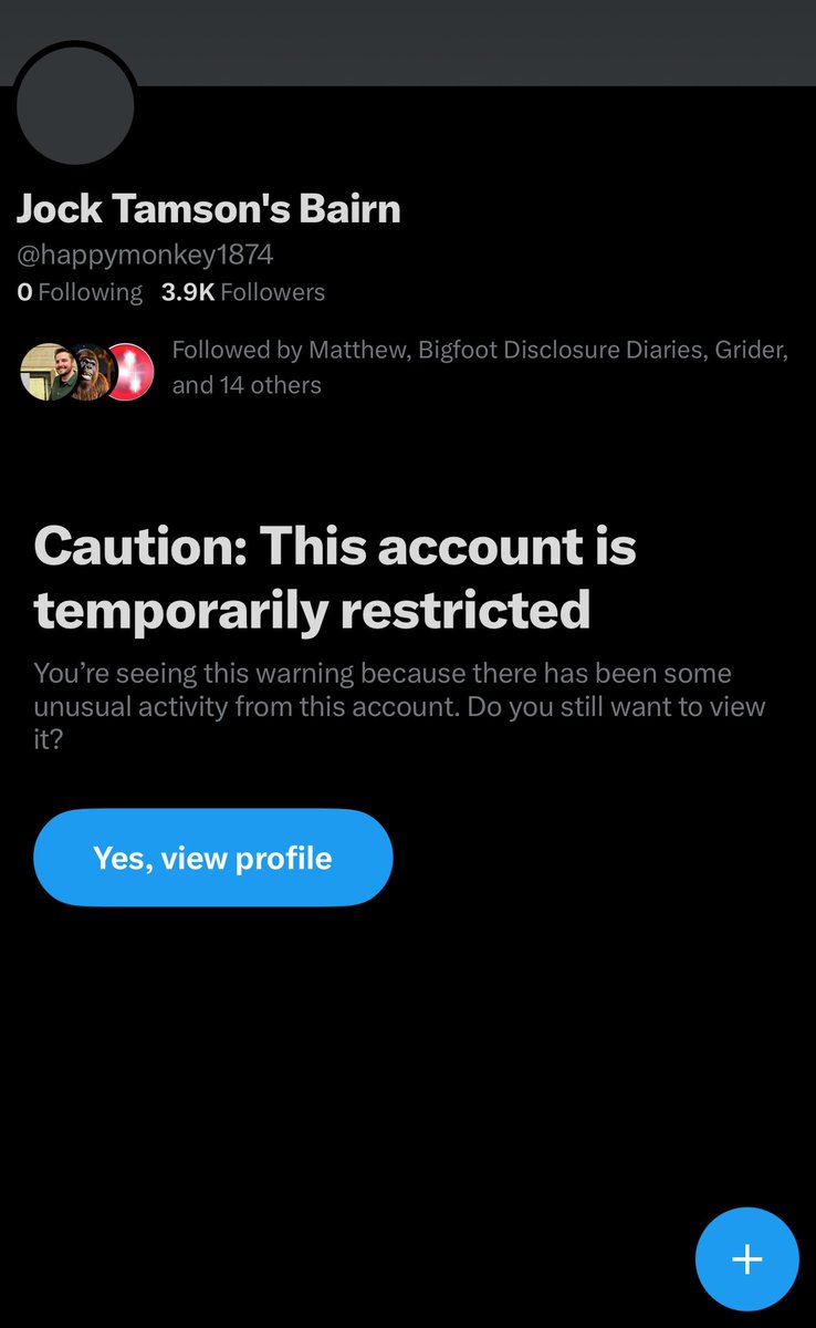 Red Panda Koala tweet media