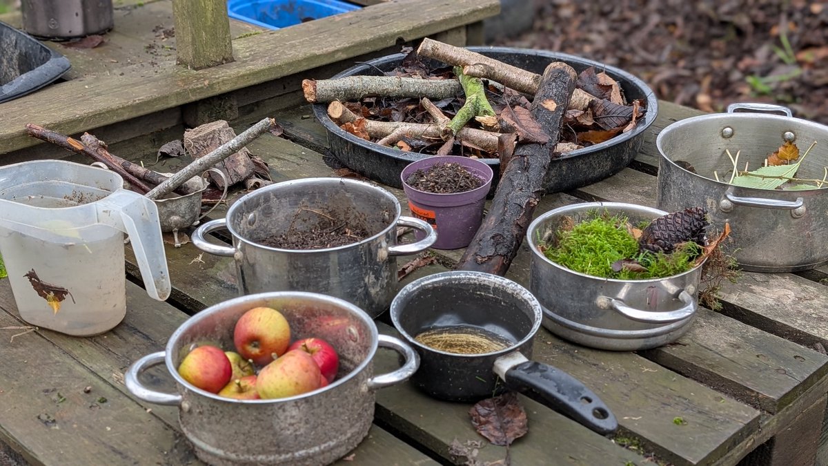Wild Bears Forest School CIC tweet media