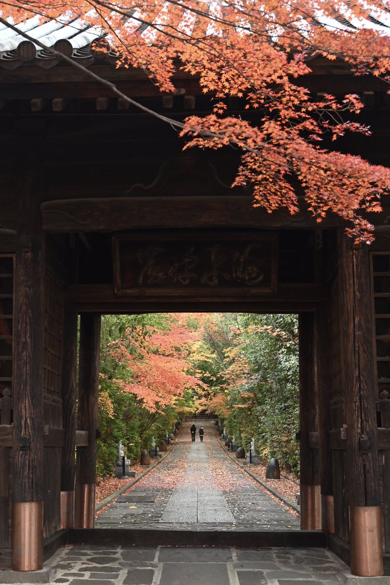 風景写真 Community on X - 6.9K Members