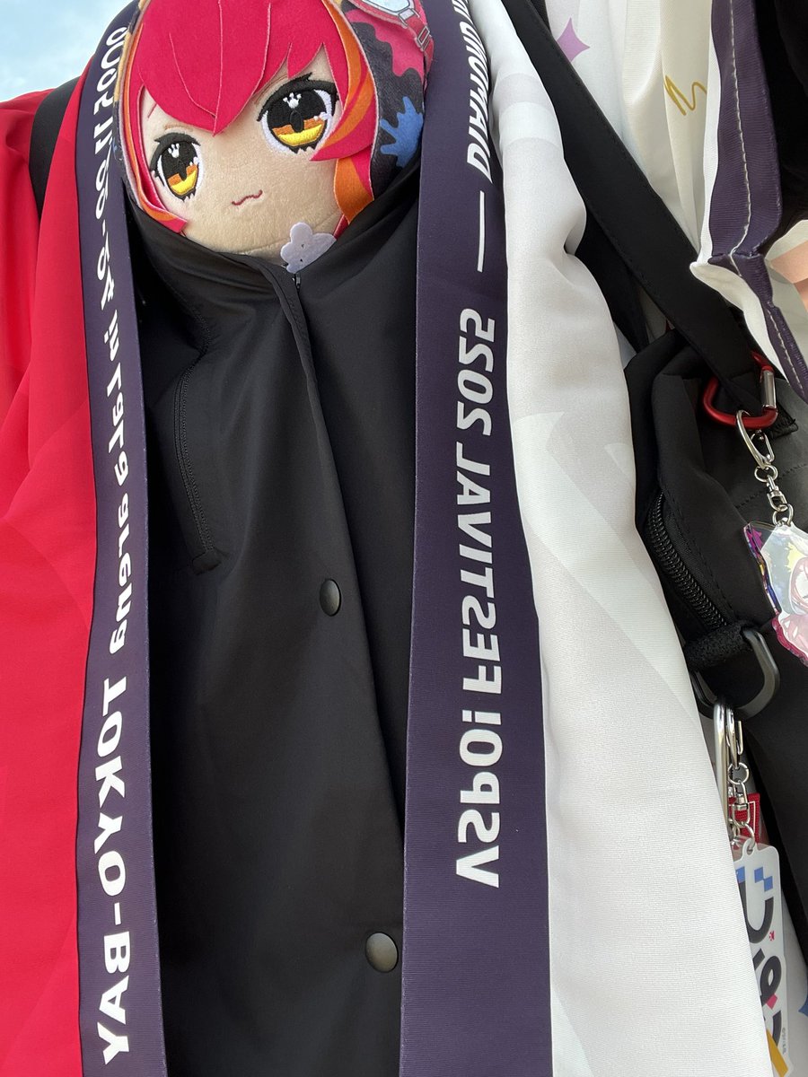 sakuichi255's tweet photo. 貴女は私の生きる希望
他の何にも変えられないonly oneの存在
 
つなちゃん3日間最高に楽しかった！
本当にありがとう！

 #猫汰つな
 #ぶいすぽフェス2025 https://t.co/iyQN9xiwyQ