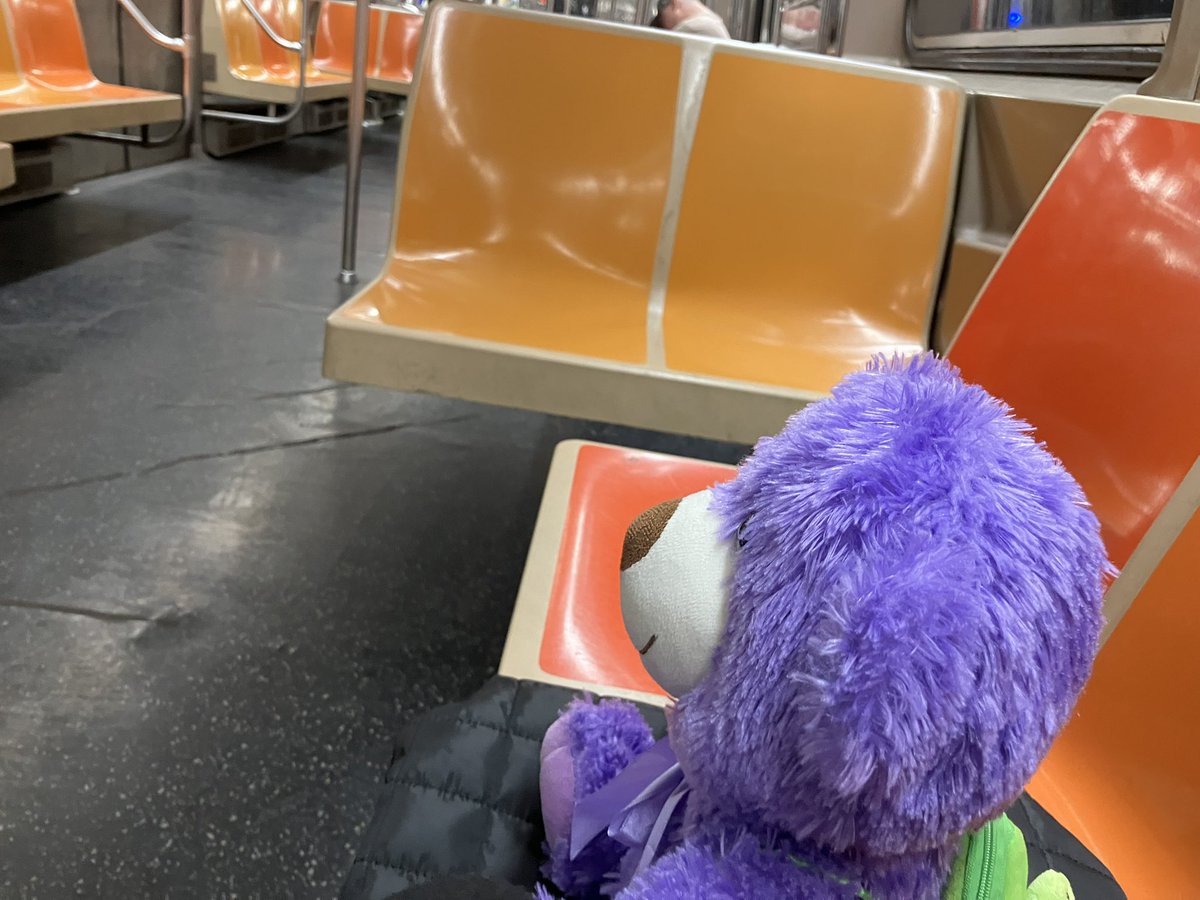 MutsukoTweeting's tweet photo. Violet’s first subway ride… even after crossing the Pacific countless times. Still, the East River makes it feel brand new 🗽💜 バイオレットくん、太平洋は何度も越えたけど、地下鉄でイーストリバーを渡るのは初めて。バイオレットくんの目を通せば、私にとって見慣れた景色も新鮮だな ✨🌿 https://t.co/H9J5EukgZK