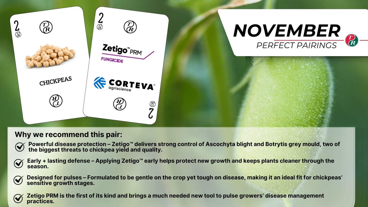 Chickpeas + Zetigo™ PRM = A Perfect Pulse Pairing

At the Rack, we’re all about pairing your pulses with protection that works - That’s why chickpea growers are reaching for Zetigo™ PRM. 

Contact your local Rack retail to see if Zetigo PRM pairs well on your farm.