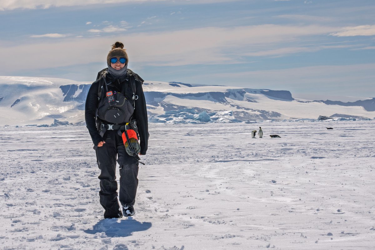 Partners in Travel - Scenic & Emerald Cruises tweet media