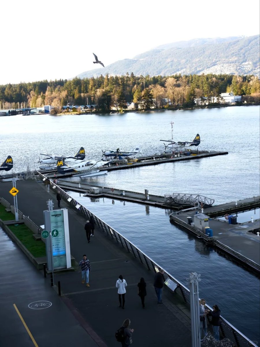 DodoRandy's tweet photo. #Vancouver #LifeInCanada https://t.co/h4ycKnTcj2