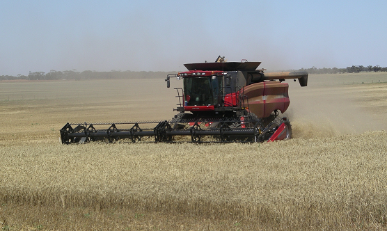 With harvest and silage season now in full swing across #Victoria, we’re calling on all road users to take extra care and show patience as heavy agricultural vehicles move between paddocks, silos and storage sites.

More: shorturl.at/KhuOq #vicfarmers