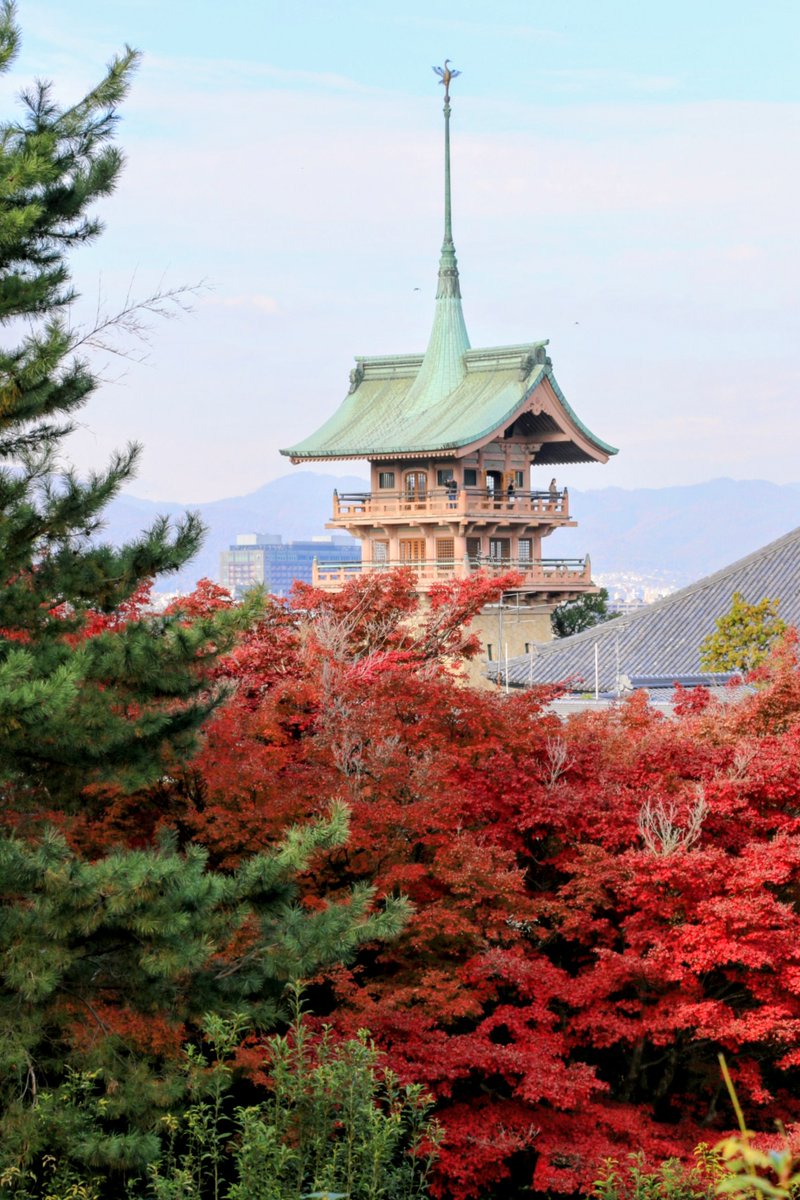 さとちゃんページ さとちゃん18 (@satochan1855) / Posts / X