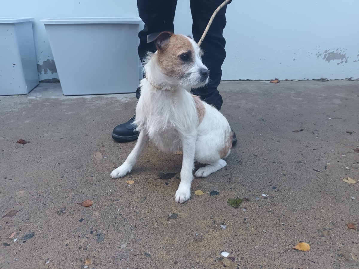 Derry Strabane Cncl tweet media