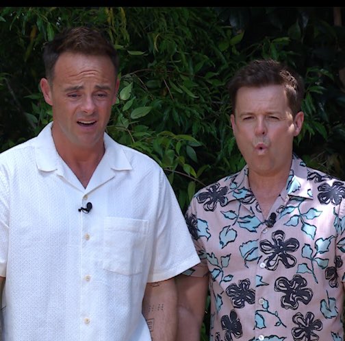 antanddec tweet media