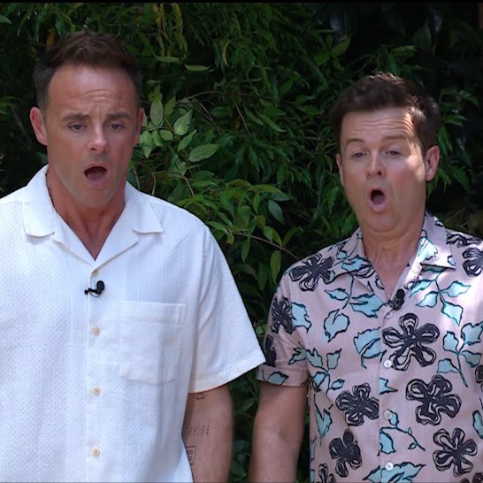 antanddec tweet media