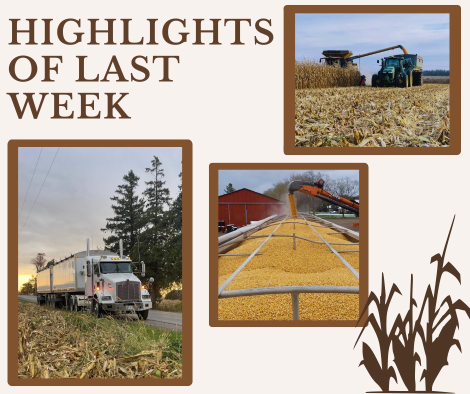 VeldaleFarms's tweet photo. Another week of harvest in the books — here’s what it looked like.
#Harvest2024 #CornHarvest #FarmLife #Farm365 #AgLife #HarvestSeason #FarmersOfInstagram #AgCommunity #FarmLiving #CornSeason #MidwestFarm #TractorLife #FieldToBin #WorkingTheLand #FarmHard #AgricultureLove https://t.co/dBqI4WnBWf