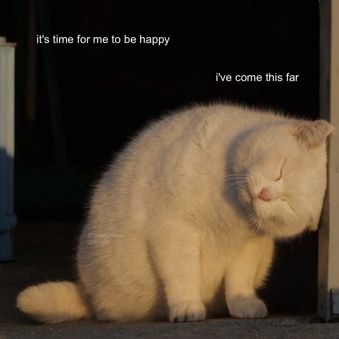 🍂 (@lovandfear) on Twitter photo 