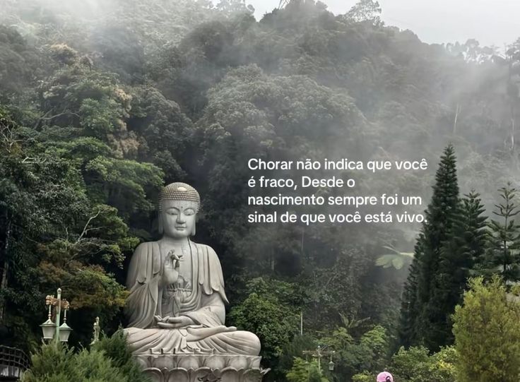 radioativo_T's tweet image. 