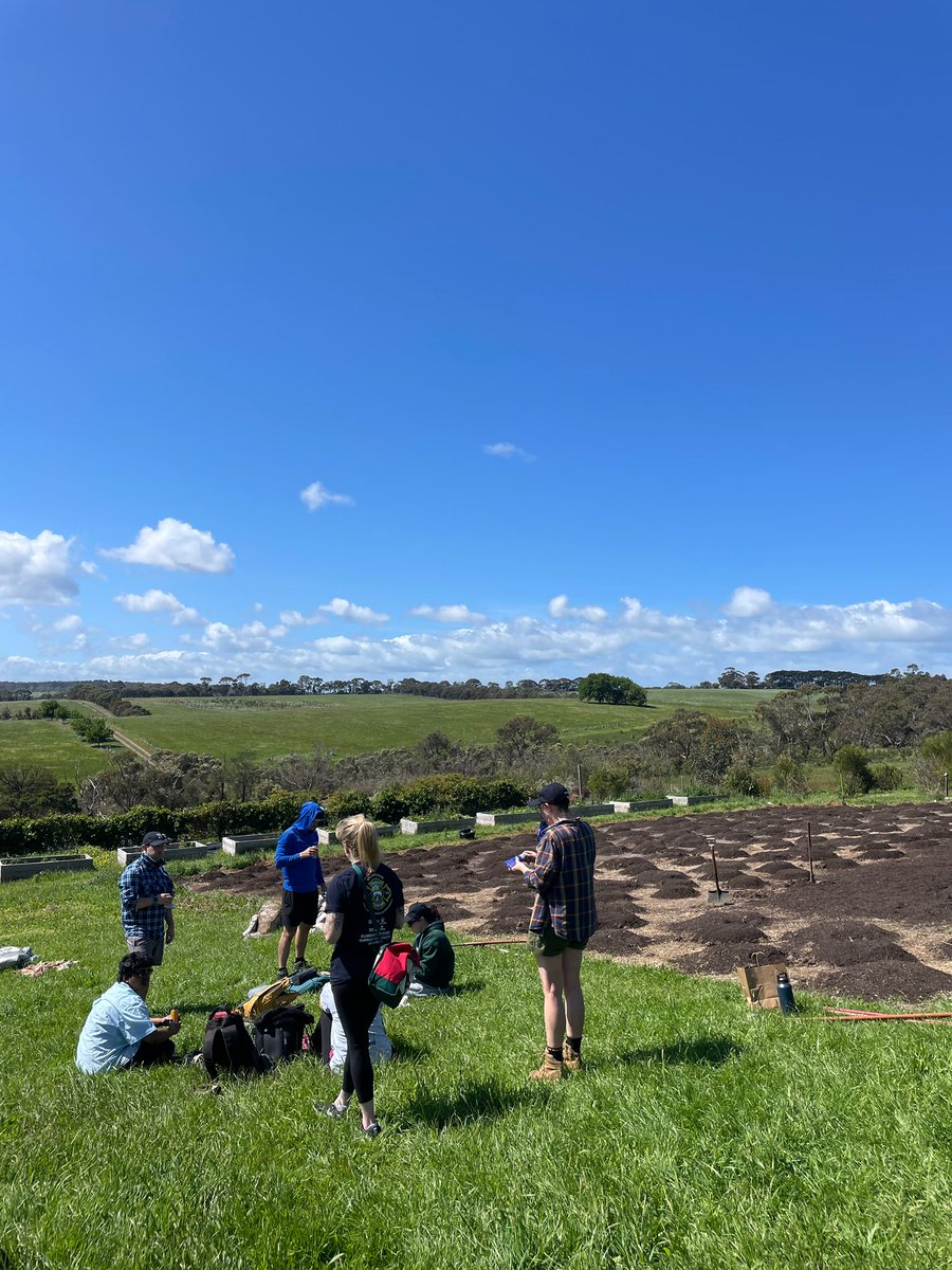 Food_ForChange's tweet photo. Tuesday and Friday are Volunteer Days! 🤝
Corporate teams and individuals give back, roll up their sleeves, and make a real difference. 💚
Join us and be part of something meaningful! 💚 https://t.co/bHJxJEoTRe 

#FoodForChange #Grow #Rescue #Support #Food #Charity #Australia https://t.co/L7dUqnTOqS