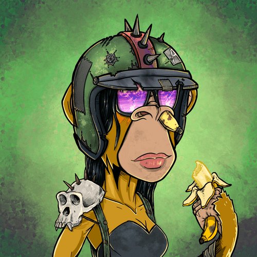 WarriorApe74368's tweet image. #aapes #fam #community #nft #nfts