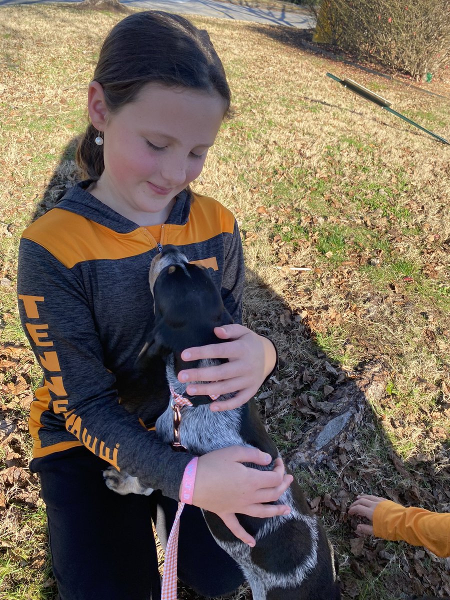 Matt Beard tweet media