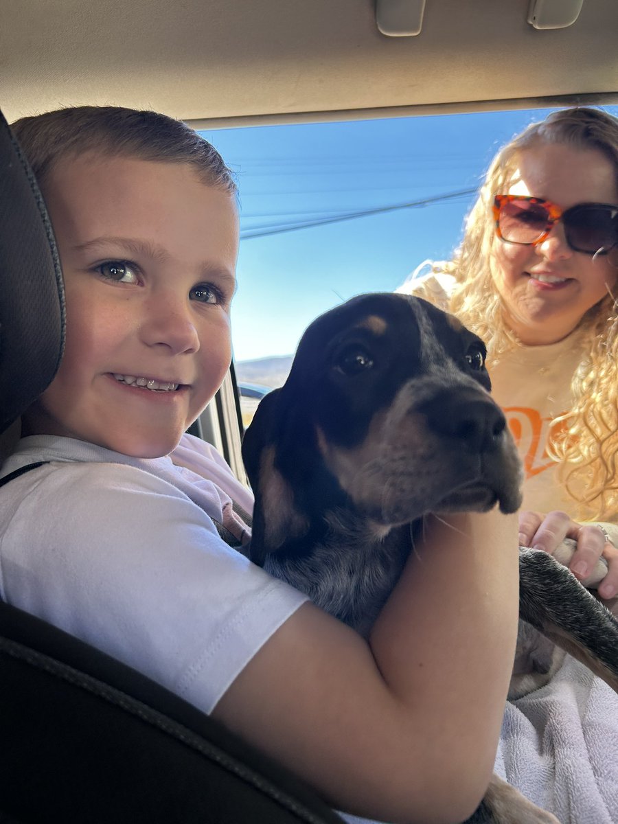 Matt Beard tweet media