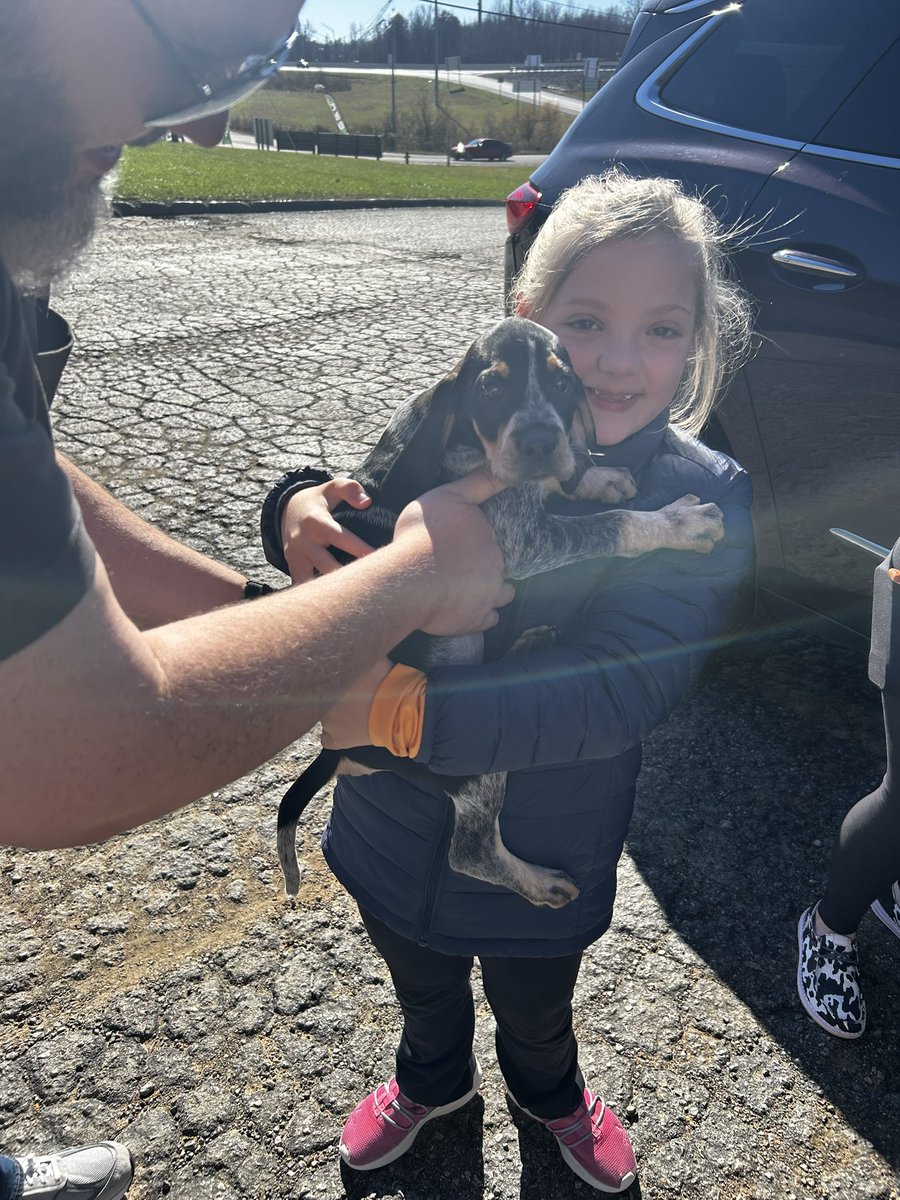 Matt Beard tweet media