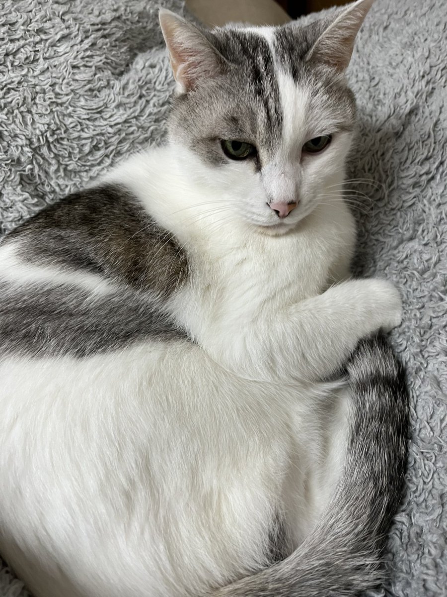 宜しくお願いしま～す(⌒,_ゝ⌒)⛰️🐾