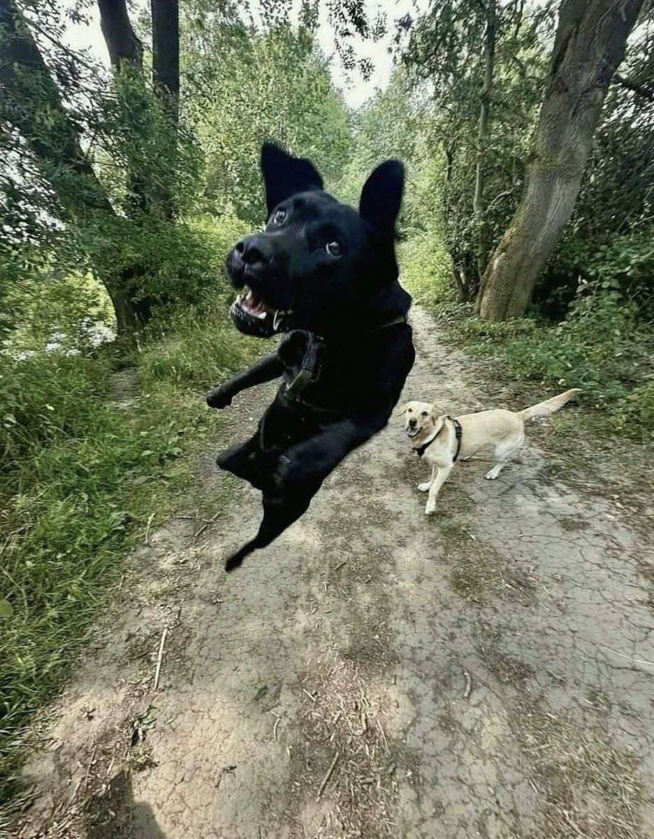 insaneposes's tweet image. 