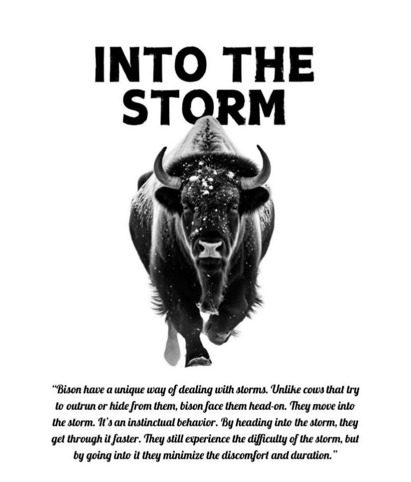 Inspired by <a href="/KevinDeShazo/">Kevin DeShazo</a> and his book Into the Storm!