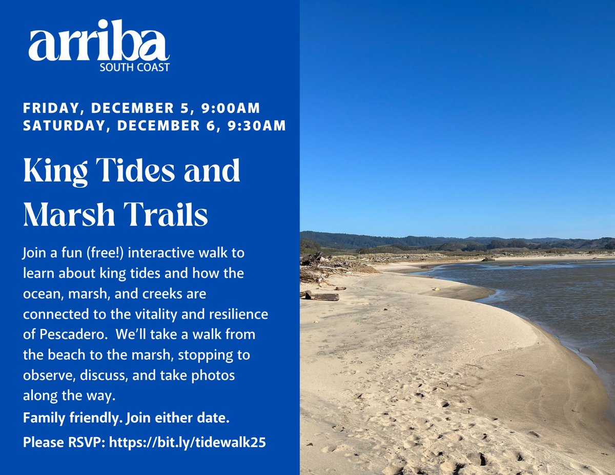 OneShoreline tweet media