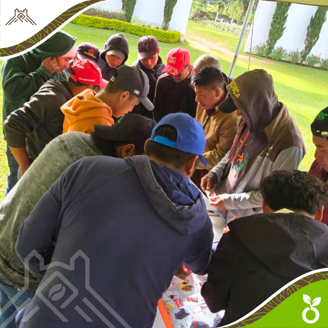 Por lo que llevamos a cabo una importante capacitación ambiental para nuestros colaboradores, la cual sirvió como un valioso refuerzo a las sesiones impartidas durante el año. ♻

#FincaElPIlar #Capacitación #UsoCorrectoDelAgua