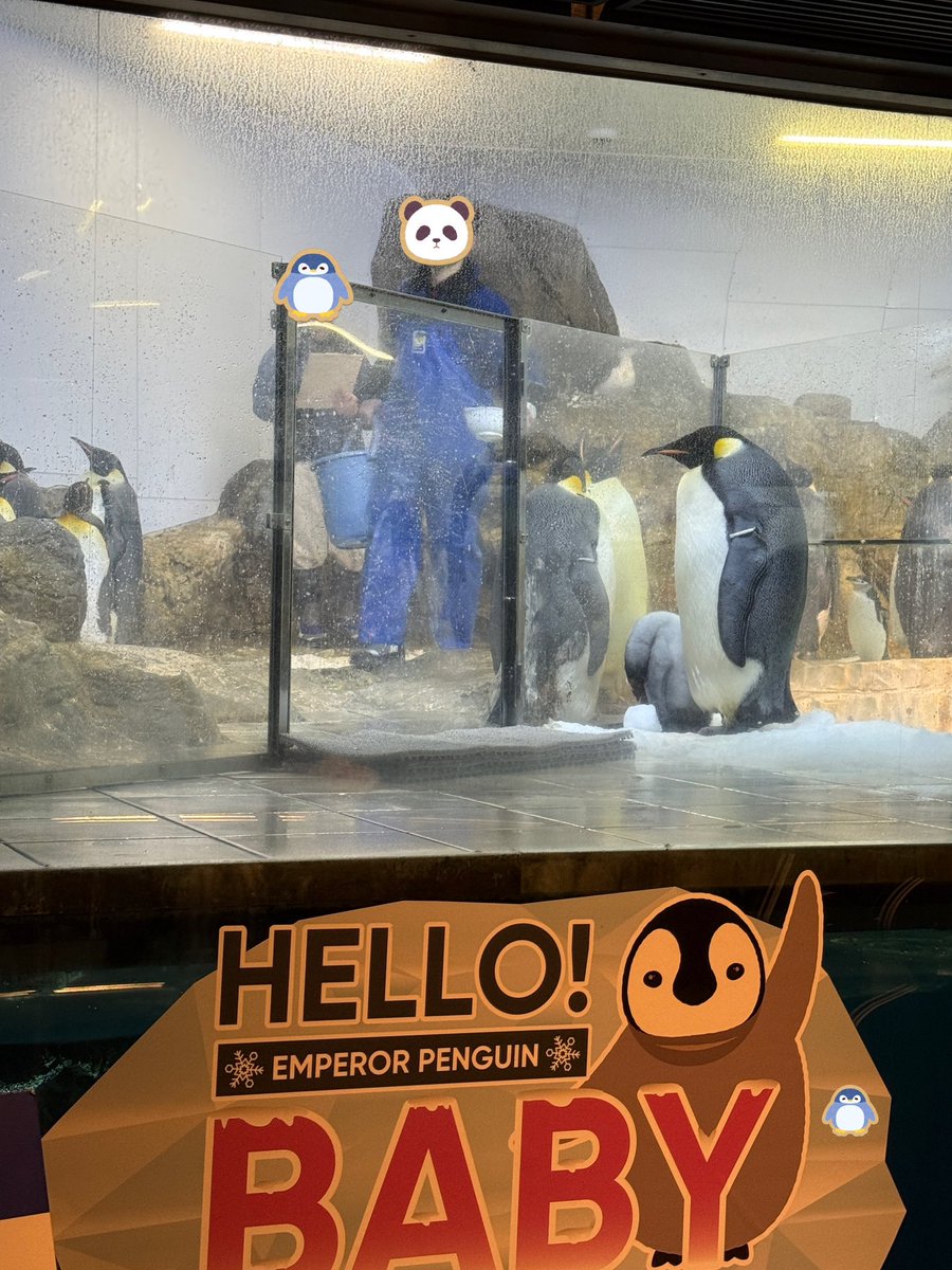 エンペラーペンギンの赤ちゃん🐧 お昼寝してるみたいですが、首の可動