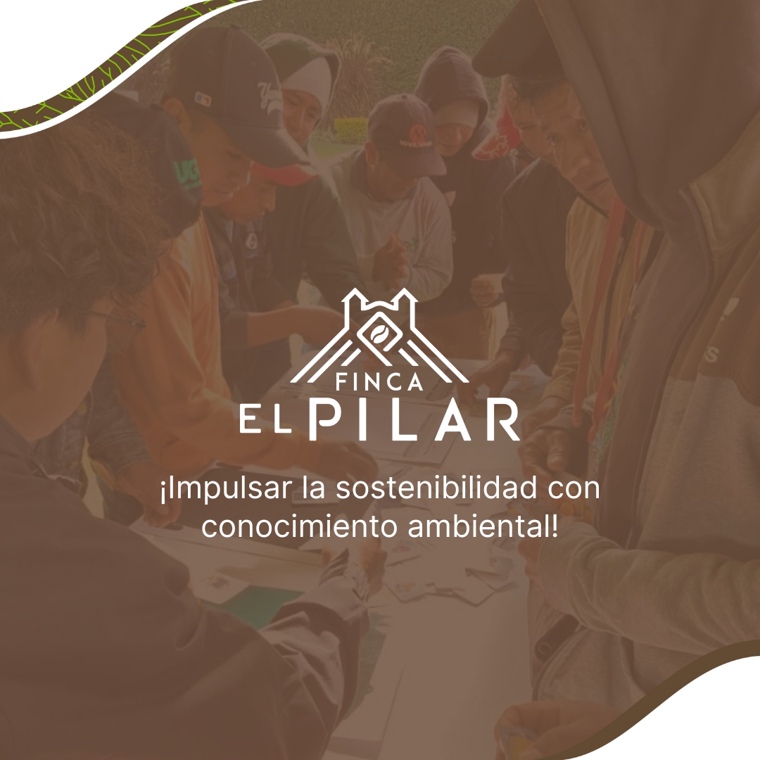 ¡Juntos promovemos un futuro más verde y sostenible!

#AmbienteSostenible #FuturoSostenible