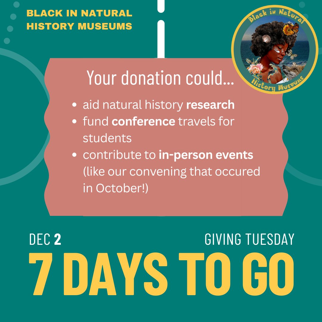 Black in Natural History Museums tweet media