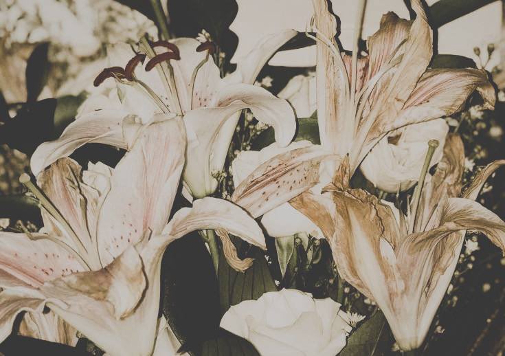 thviou's tweet image. ⠀⠀⠀
⠀⠀⠀
   ⠀⠀⠀ 𝗂𝗇 ─── 𝗏𝖾𝗋𝗇𝗈       𝟣𝟫𝟫𝟤        หิมะ
  ⠀⠀⠀  ❀    𝐚𝐫𝐭𝐞  ㅤ   𖬺        ۽ ㅤ  𝖿ꪱ𝗅𝗆⍺𝗀𝖾𝗇𝗌.

⠀⠀⠀