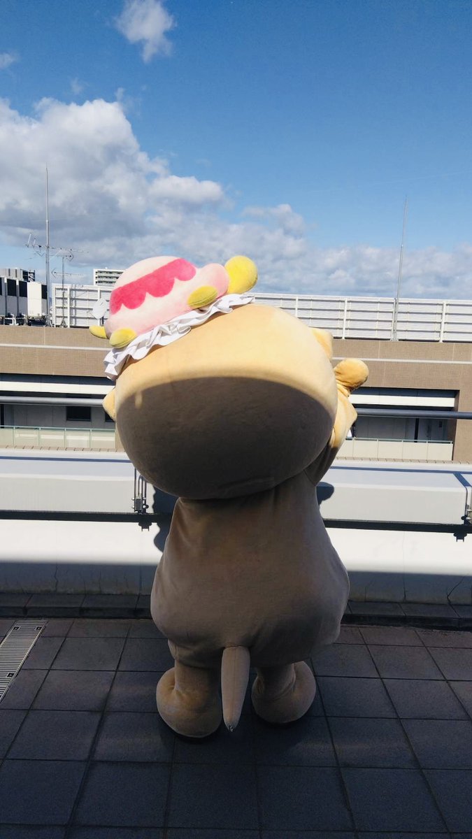 公式：ちぃたん☆大阪 (@Chiitan_Osaka) / Posts / X