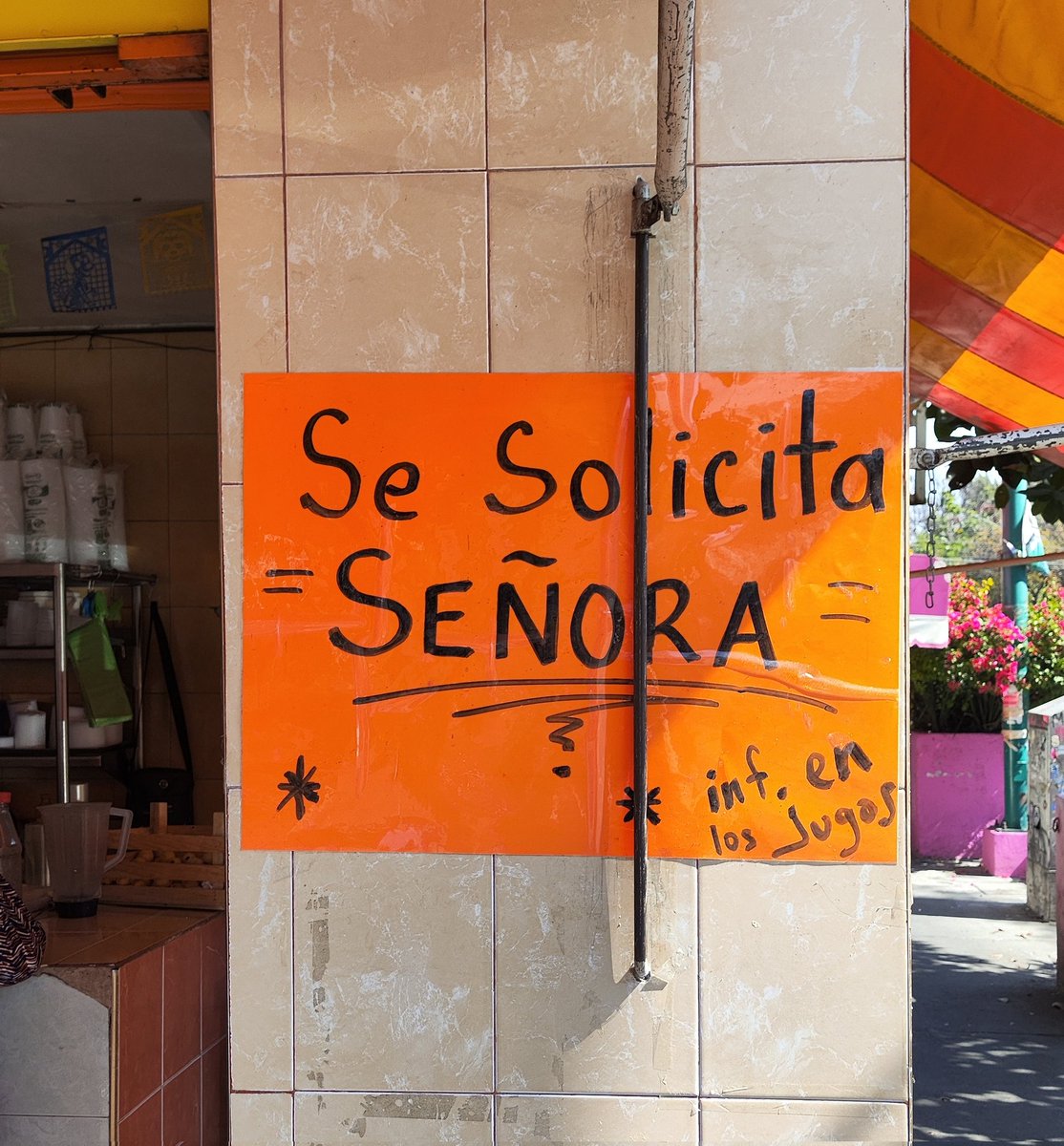 HostileGradenko's tweet image. Requisitos: 
SER SEÑORA