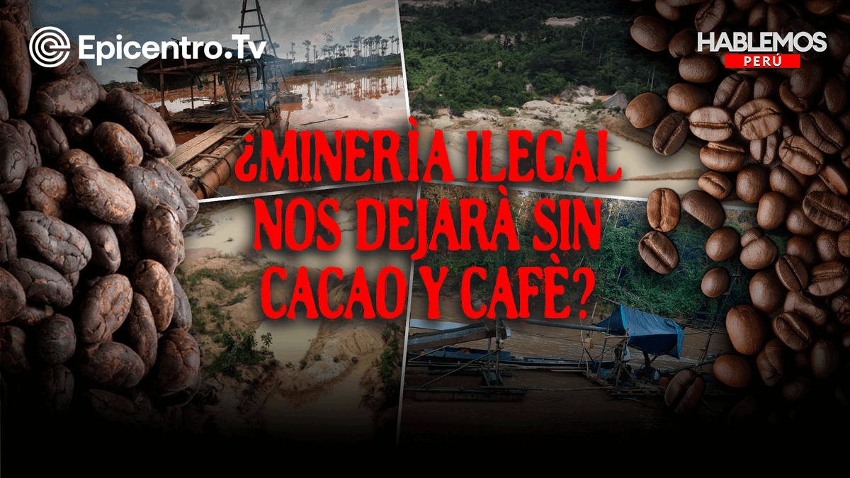 Hoy a las 7 pm en #HablemosPerú, exclusivo, los estragos de la minería ilegal en Cajamarca: café y cacao en riesgo. Desde Arequipa, entre el reciclaje y el "a dedo", en elecciones internas. El voto indígena: un derecho vulnerado. <a href="/MesiasGuevara/">Mesías Guevara</a> en vivo. youtube.com/live/mVWirhMKR…