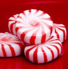 safe and sound #1 fan tweet media