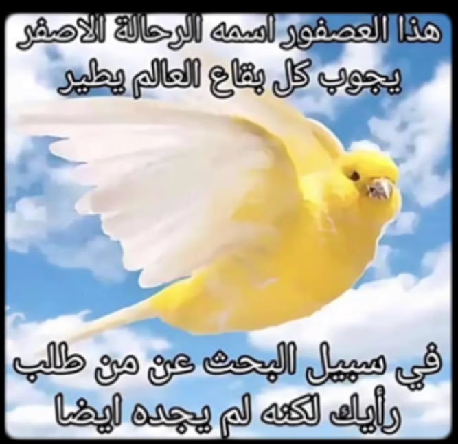 Anas_shi's tweet photo. @amohflcn https://t.co/YUgNOS88a3