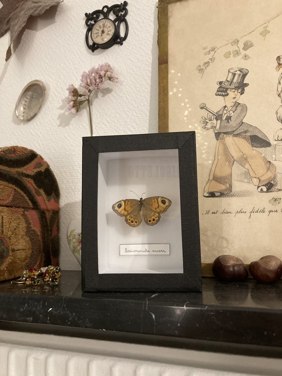 Le résultat final :