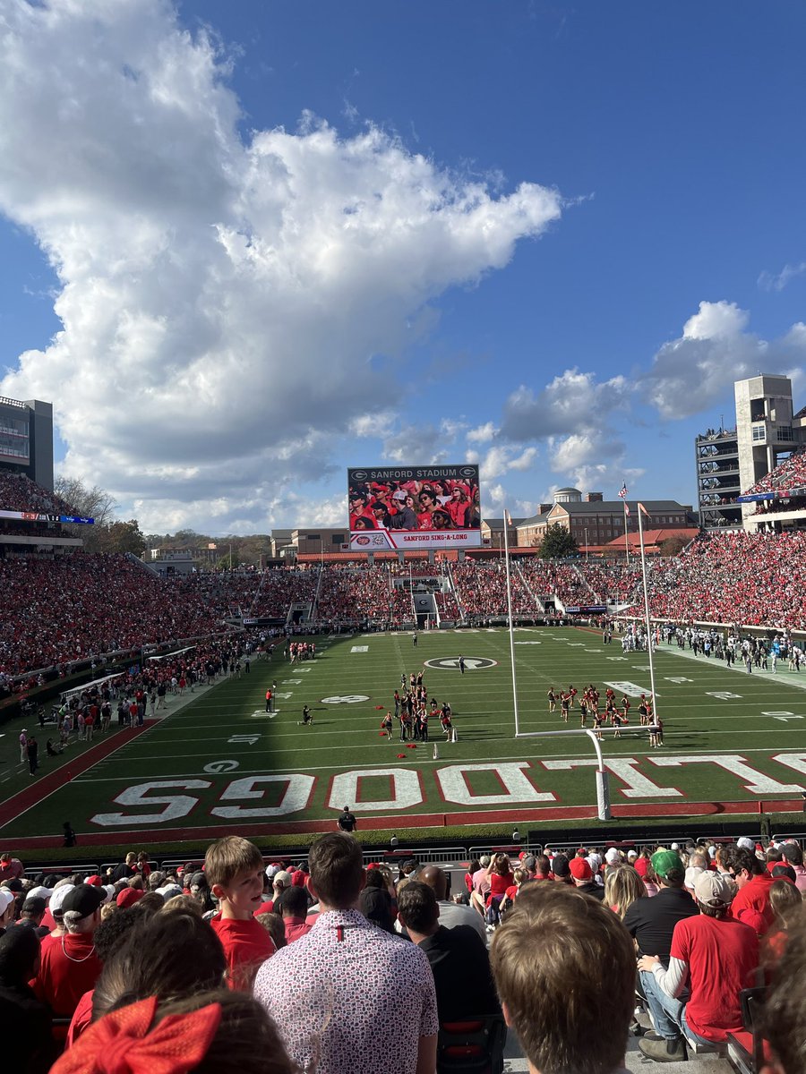 Jack Gelmini tweet media