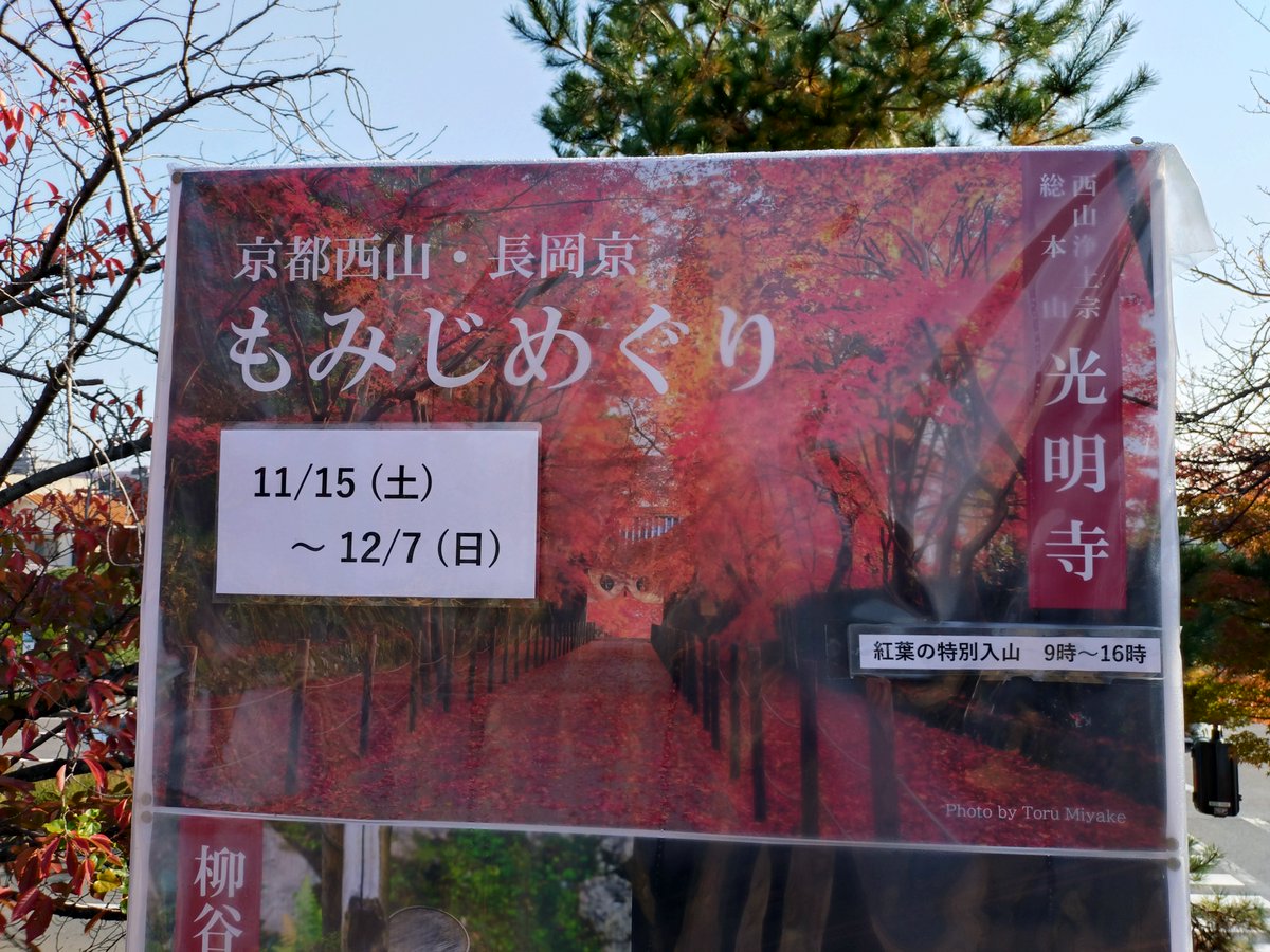 hiromasa206's tweet image. 令和7年11月25日(火)7時35分
おはようさんどす☔
完全に寝坊した😅
何故か勝手に目覚まし⏲
止まってるし😖
で、変態が読み解くと
いい「ジゴロ」の日となる😜
一度は憧れたなこんな生活🤣🤣
まだ眠いけど
じじぃ頑張るFireDayどす🔥
今日もよろしくどすえ🍁
いつもながら過去📸でｺﾞﾒﾝﾅｻｲ