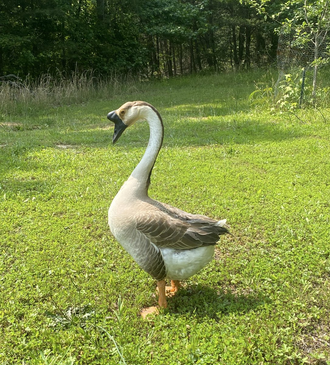 notr3al48's tweet image. In spite of our initial differences, Richard has grown to be a good friend of mine #pals 🤝