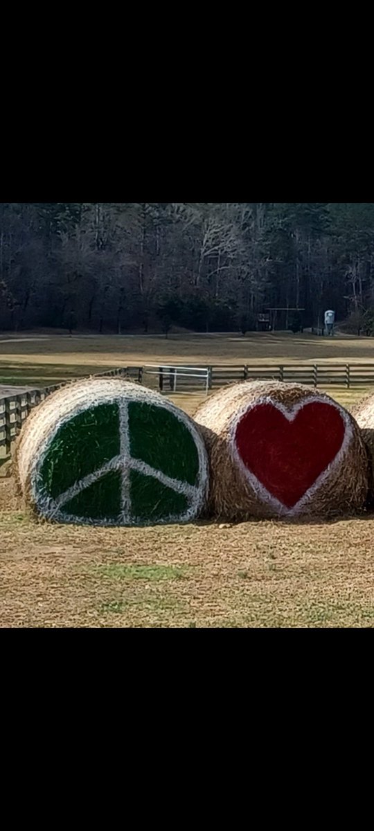 Peace is sinking, but love is holding on.