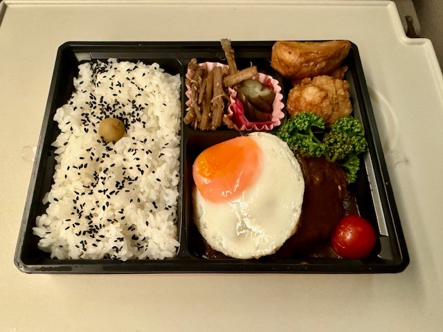 kyarochan93's tweet image. 昨日のブログを更新しました〜♪
【大阪に行ってきました～～～♪　1日目】 plaza.rakuten.co.jp/daisukikyaroch… #r_blog 
#品川駅　#新大阪駅　#東海道新幹線　#新幹線　#お弁当　#夕食