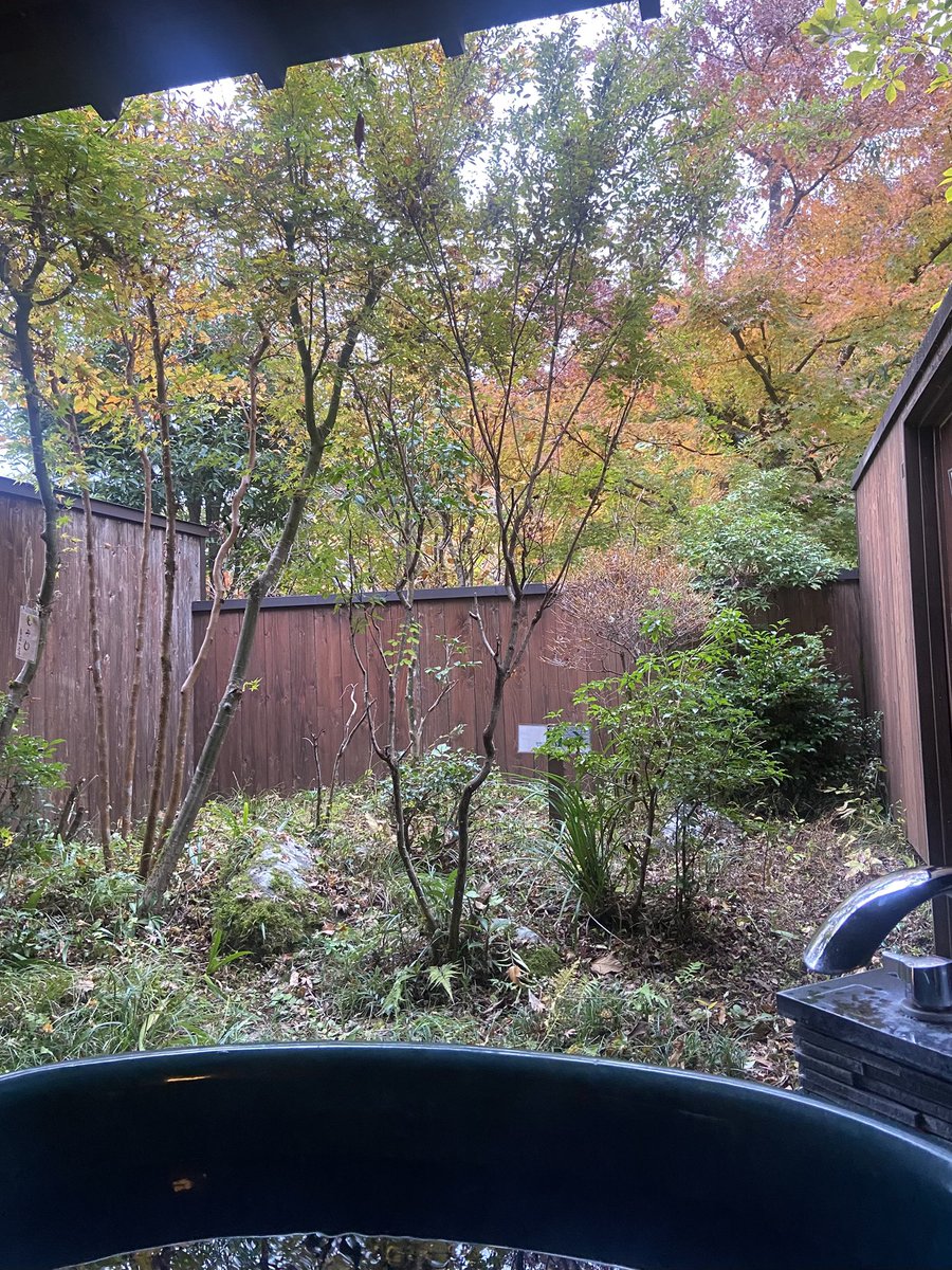 【骨休めの休日旅】その5

私の骨ちゃん🦴達のため、
宿は温泉♨️をチョイス👍
専用露天風呂付き客室は
最高ですね🤩✨
綺麗な紅葉🍁を眺めながら
のんびり出たり入ったり♨️
カチカチの筋肉もほぐれました❣️
#癒しの温泉