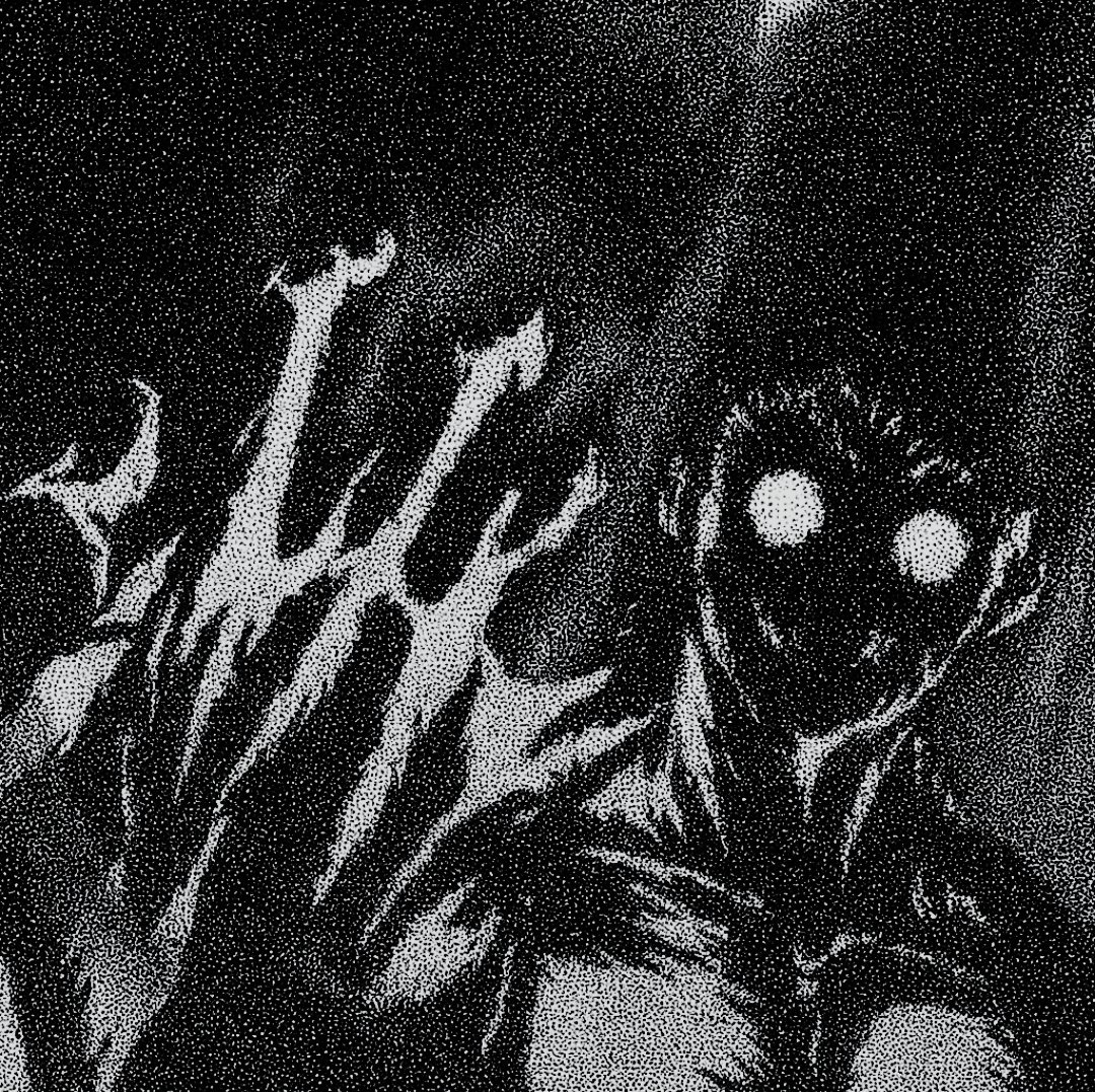 nocturnal tweet media