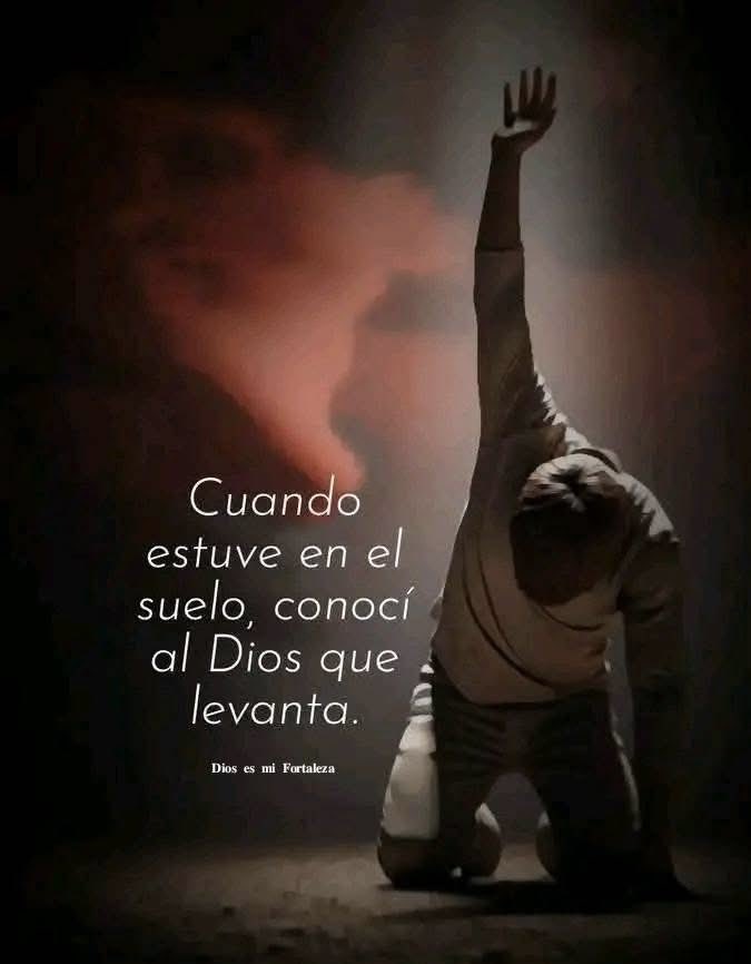 BeaMerc42046583 tweet picture