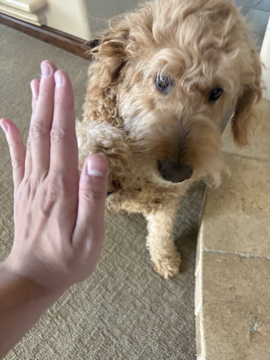 Reunited with bro!!!

Back home w the fam for Thanksgiving