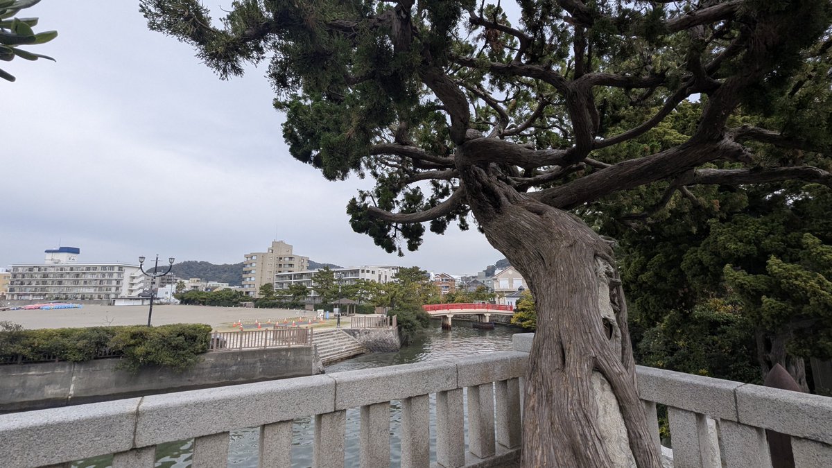 beach_chill5011's tweet image. おはようございます
今日はこれから雨かなぁ

本日もよろしくお願いします
#イマソラ