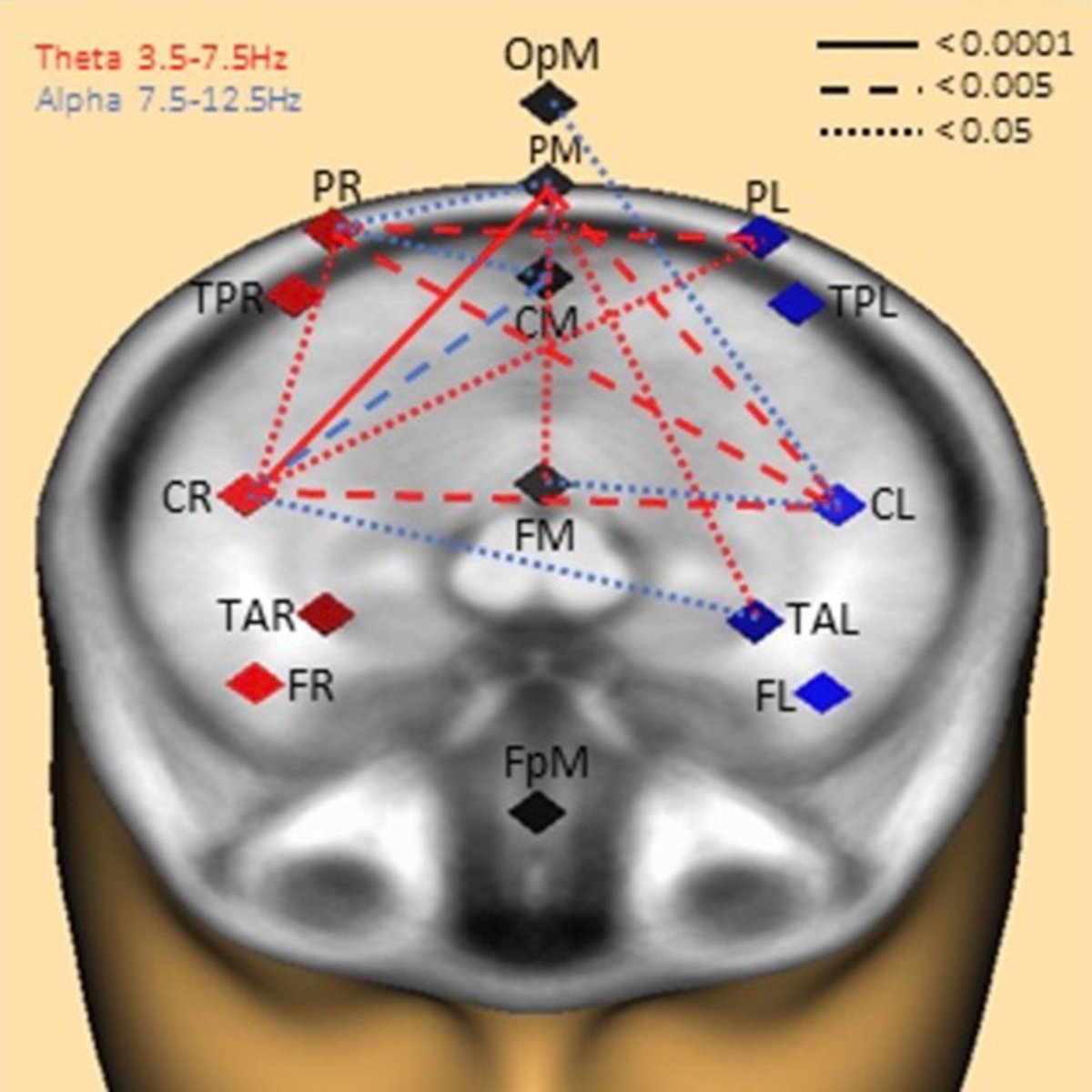 MakaiAllbert's tweet image. I always have a pencil (or pen) handy.

Handwriting activates widespread theta- and alpha-wave connectivity across the brain. In short, you can process and retain more information. 

Doodle all you want.